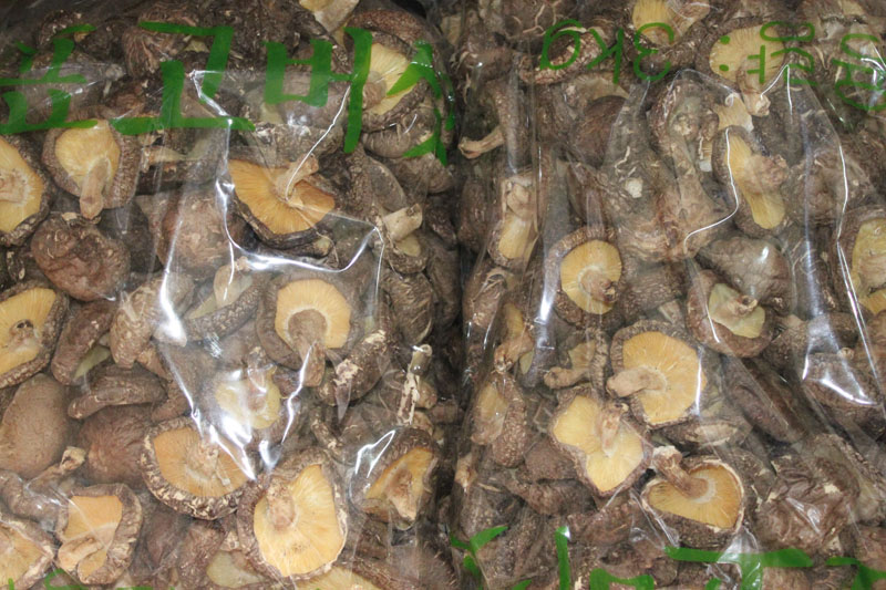 Wood mushroom 4-5cm
